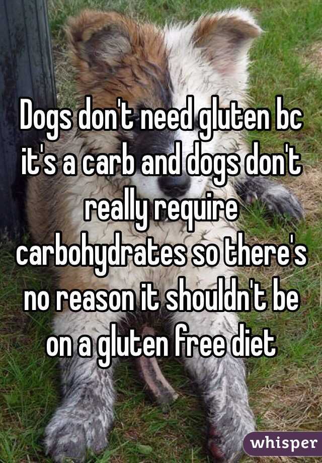 Dogs don't need gluten bc it's a carb and dogs don't really require carbohydrates so there's no reason it shouldn't be on a gluten free diet 