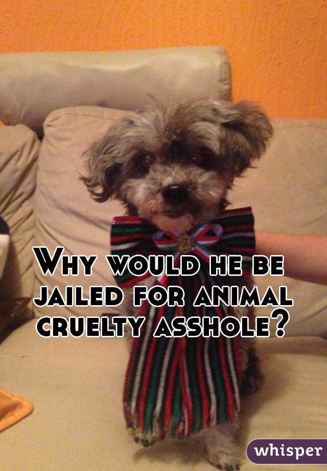 Why would he be jailed for animal cruelty asshole?