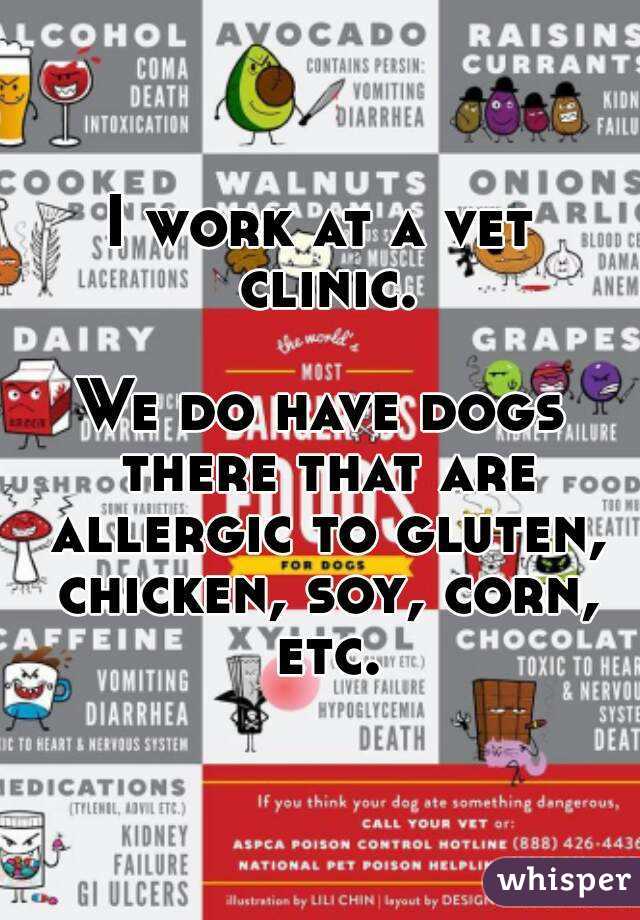 I work at a vet clinic.

We do have dogs there that are allergic to gluten, chicken, soy, corn, etc.