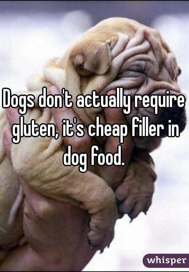 Dogs don't actually require gluten, it's cheap filler in dog food. 