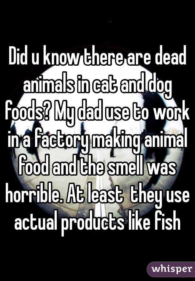 Did u know there are dead animals in cat and dog foods? My dad use to work in a factory making animal food and the smell was horrible. At least  they use actual products like fish 