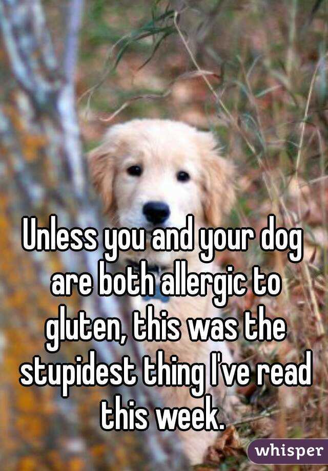 Unless you and your dog are both allergic to gluten, this was the stupidest thing I've read this week. 