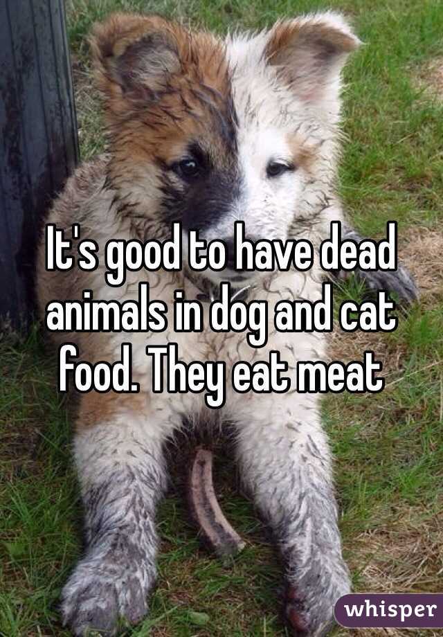 It's good to have dead animals in dog and cat food. They eat meat