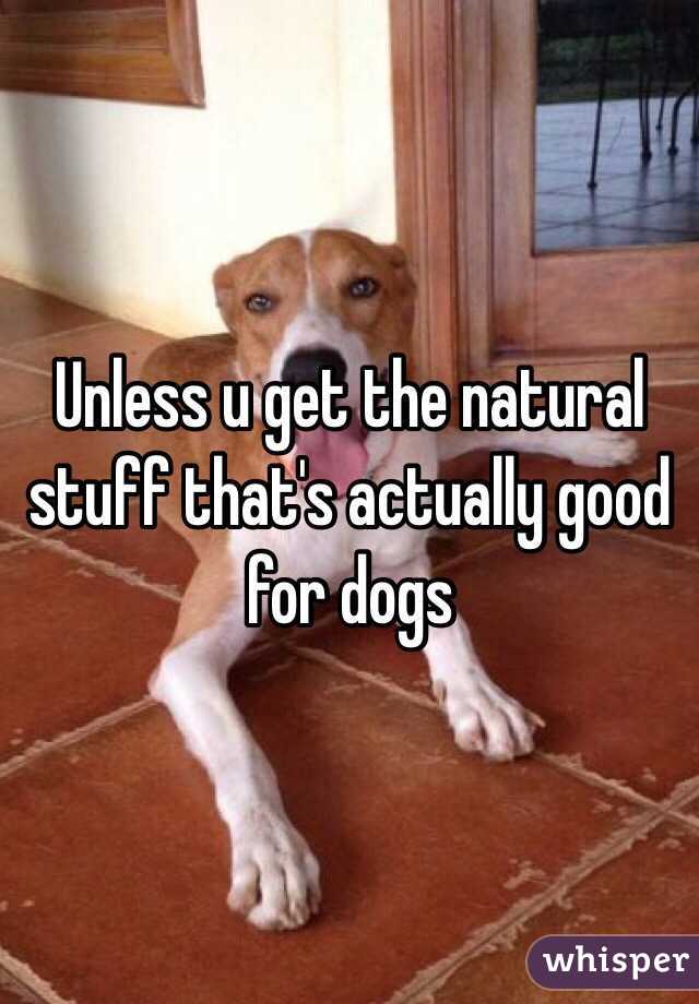 Unless u get the natural stuff that's actually good for dogs 