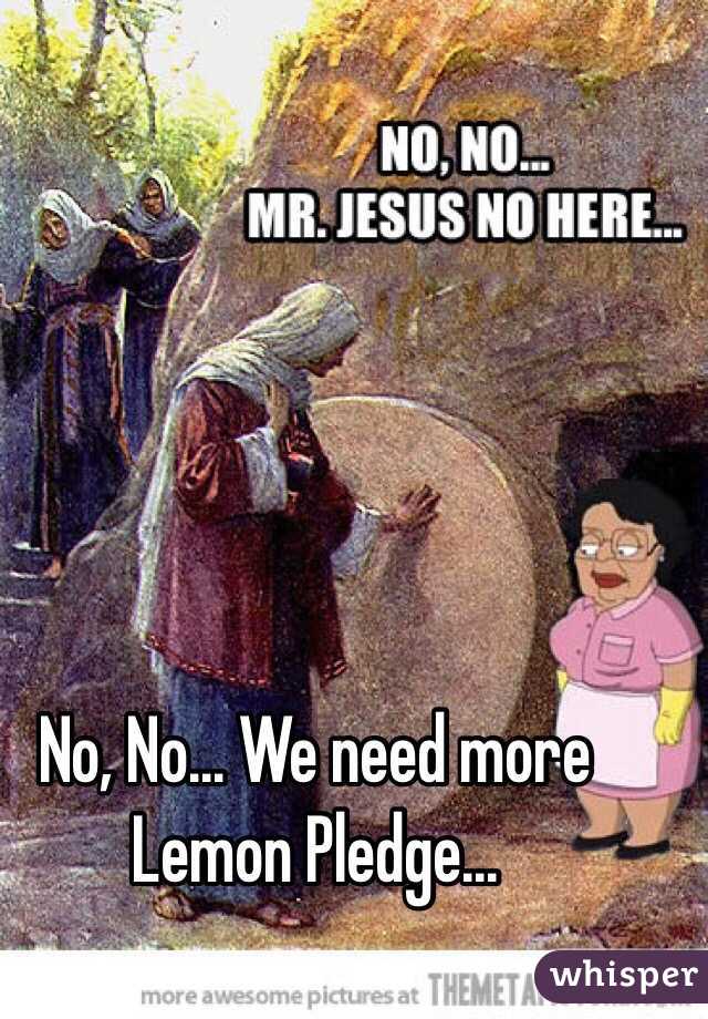 No, No... We need more Lemon Pledge...