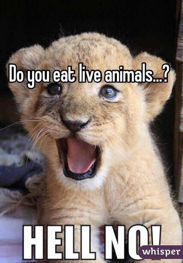 Do you eat live animals...? 