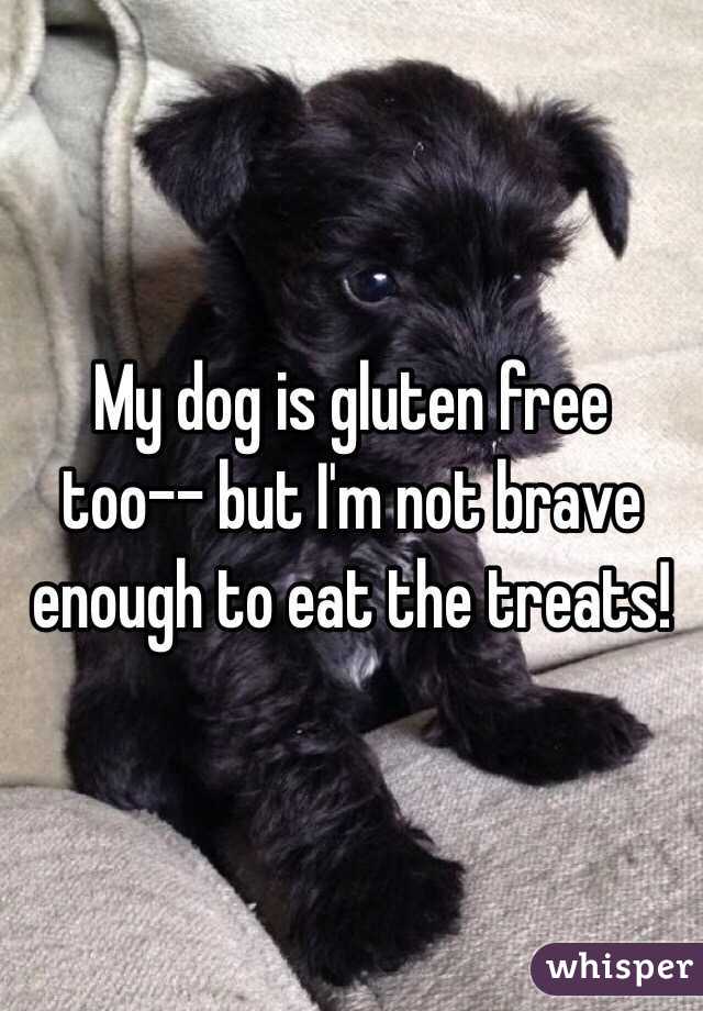 My dog is gluten free too-- but I'm not brave enough to eat the treats!  