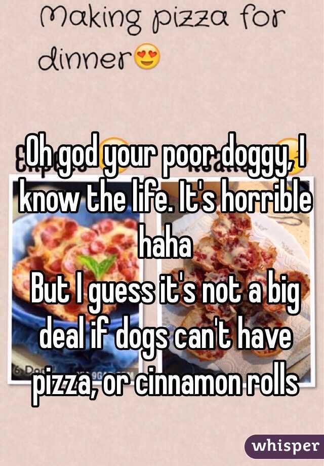 Oh god your poor doggy, I know the life. It's horrible haha
But I guess it's not a big deal if dogs can't have pizza, or cinnamon rolls