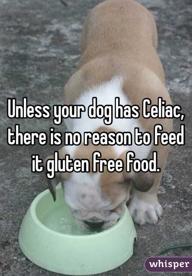 Unless your dog has Celiac, there is no reason to feed it gluten free food.  