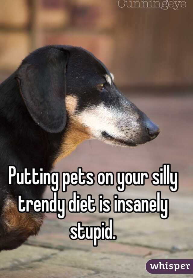 Putting pets on your silly trendy diet is insanely stupid.