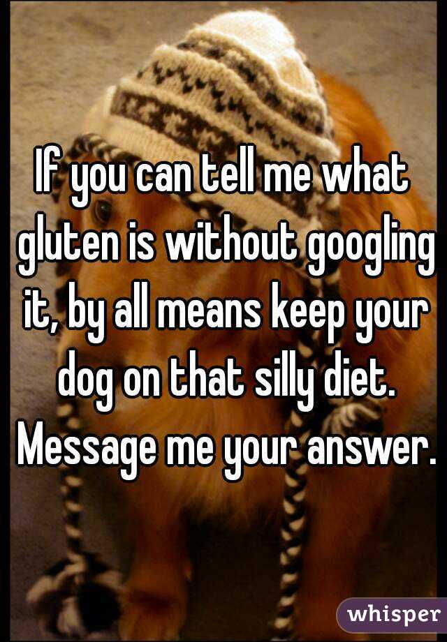 If you can tell me what gluten is without googling it, by all means keep your dog on that silly diet. Message me your answer. 