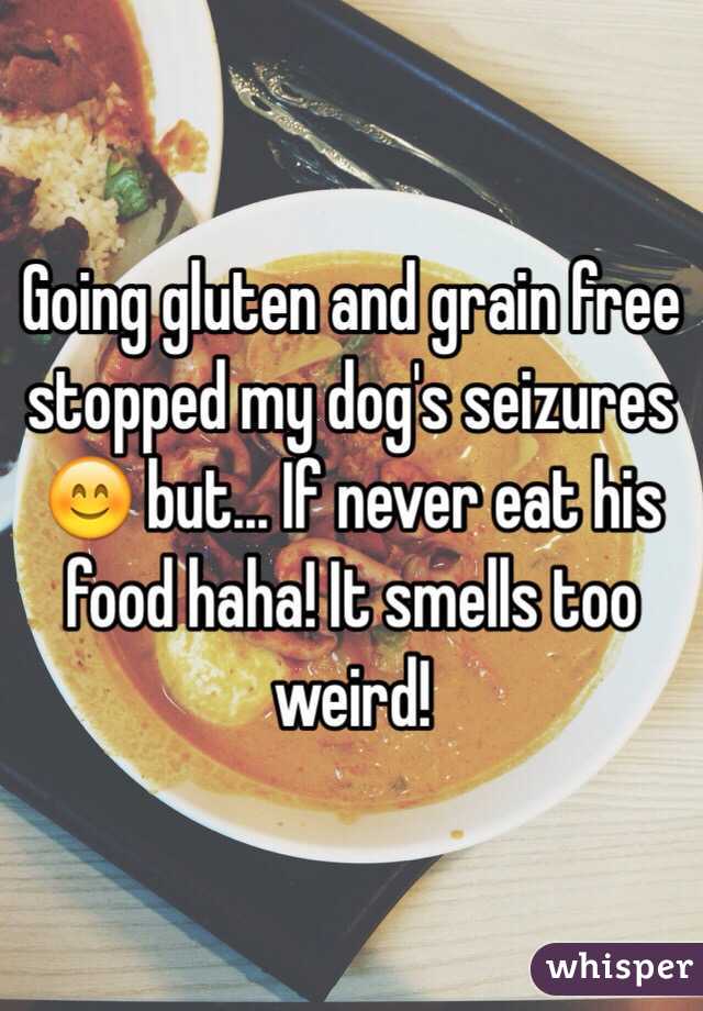 Going gluten and grain free stopped my dog's seizures 😊 but... If never eat his food haha! It smells too weird!