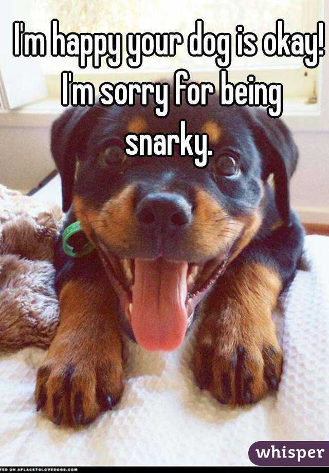 I'm happy your dog is okay! I'm sorry for being snarky. 