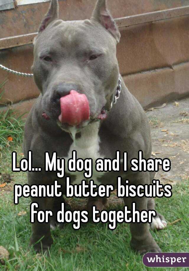 Lol... My dog and I share peanut butter biscuits for dogs together