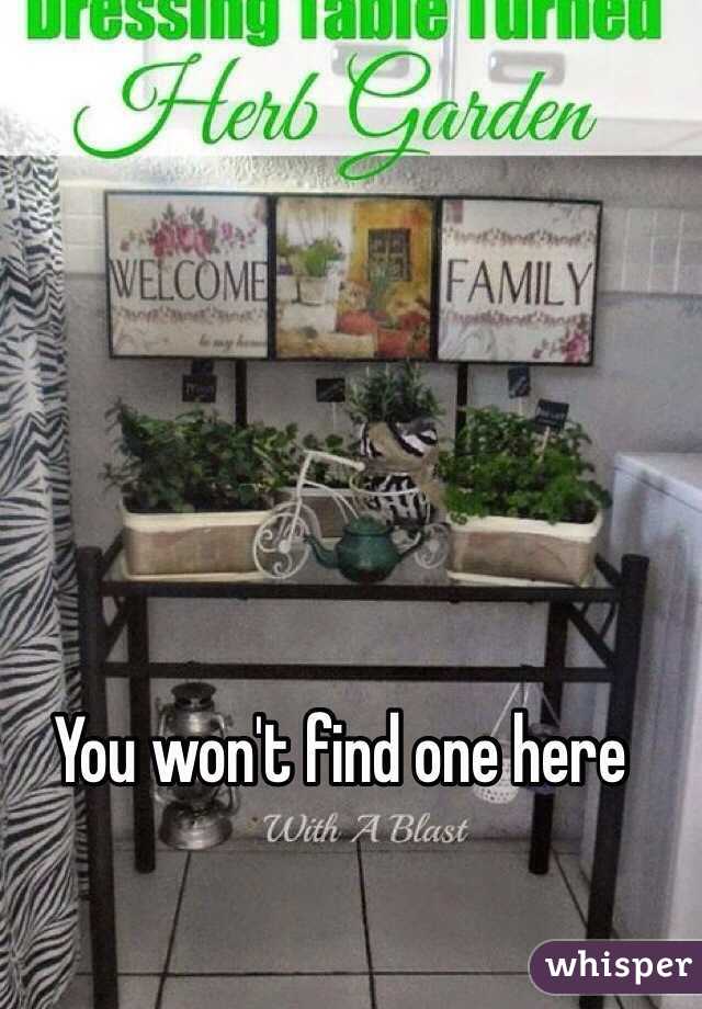 You won't find one here