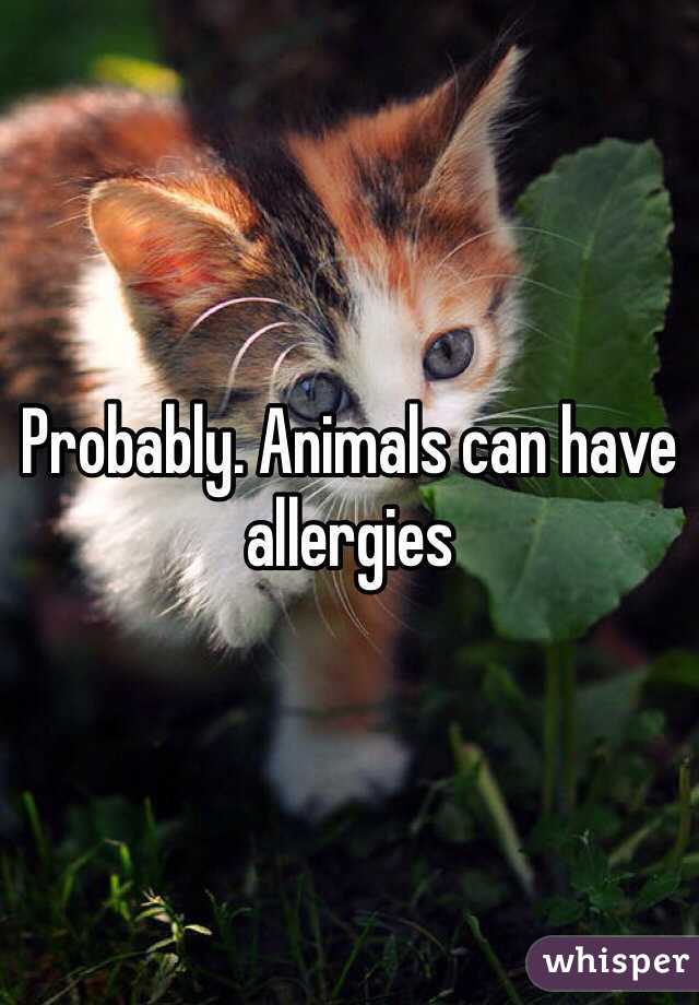 Probably. Animals can have allergies 