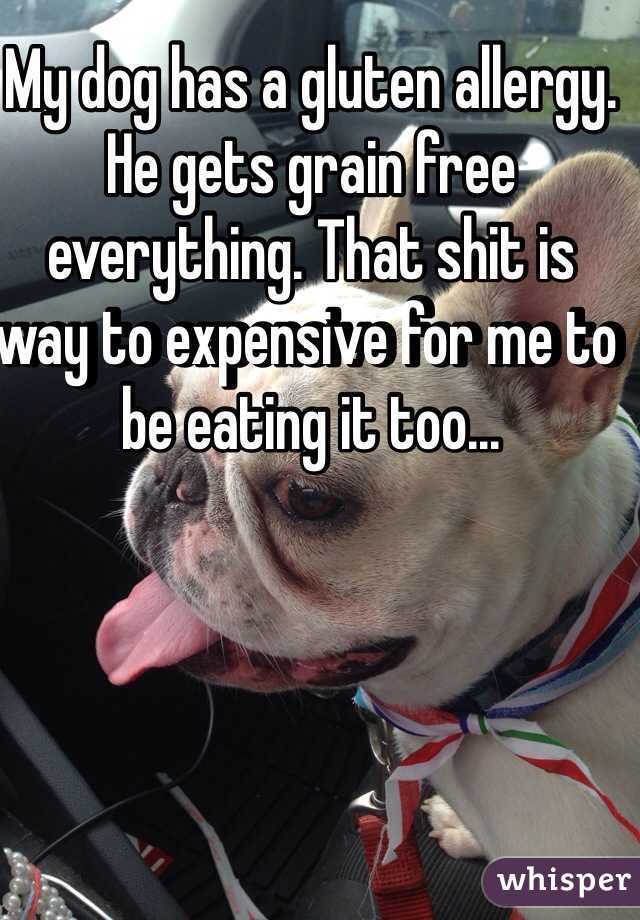 My dog has a gluten allergy. He gets grain free everything. That shit is way to expensive for me to be eating it too...