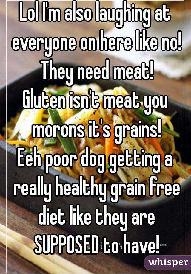 Lol I'm also laughing at everyone on here like no! They need meat!
Gluten isn't meat you morons it's grains!
Eeh poor dog getting a really healthy grain free diet like they are SUPPOSED to have!