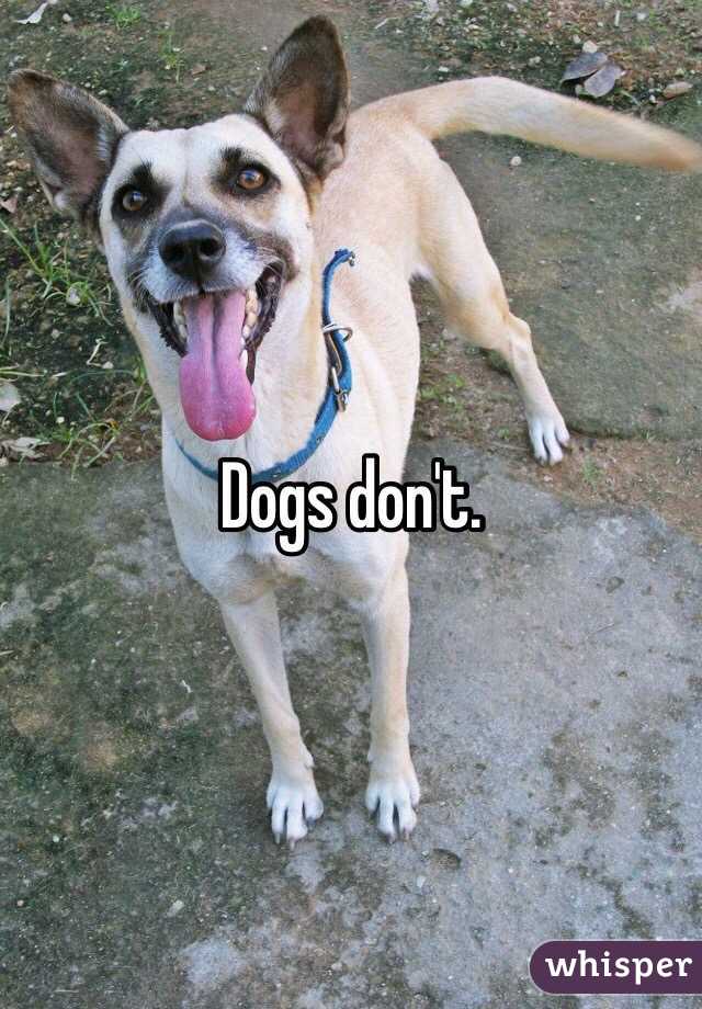 Dogs don't.