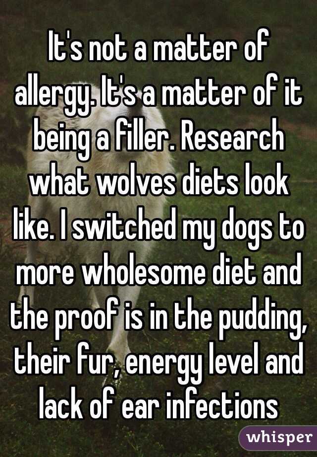 It's not a matter of allergy. It's a matter of it being a filler. Research what wolves diets look like. I switched my dogs to more wholesome diet and the proof is in the pudding, their fur, energy level and lack of ear infections 