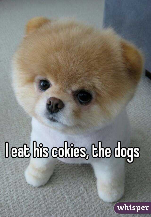 I eat his cokies, the dogs