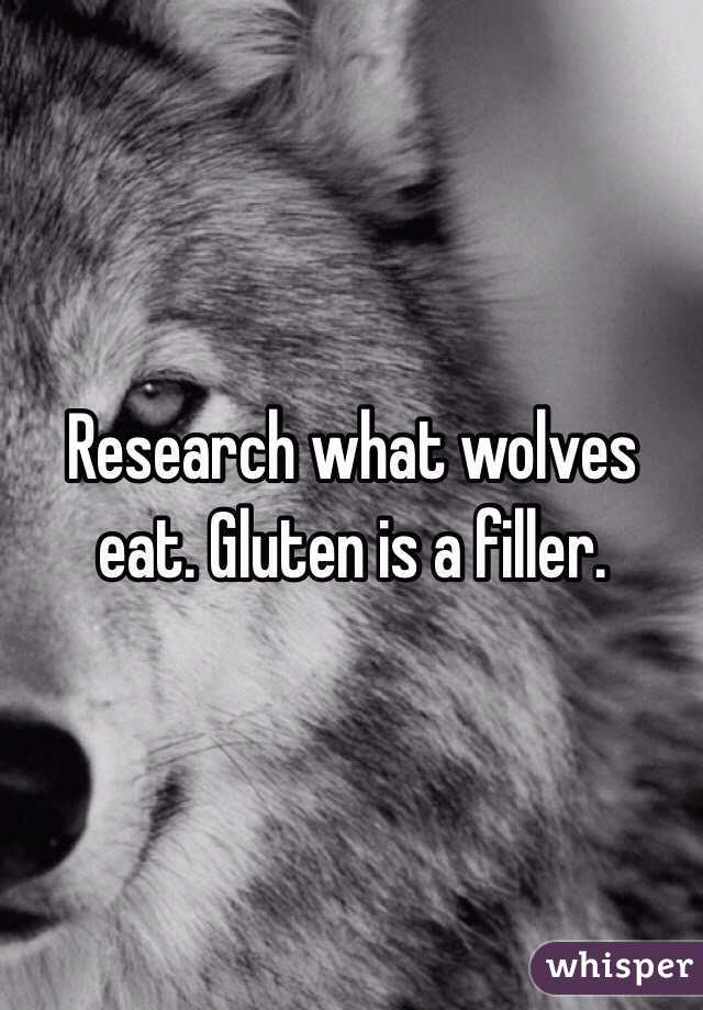 Research what wolves eat. Gluten is a filler. 