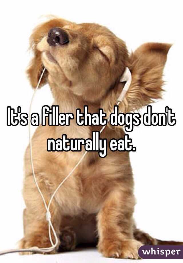 It's a filler that dogs don't naturally eat.