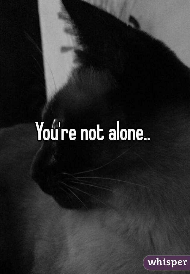 You're not alone.. 