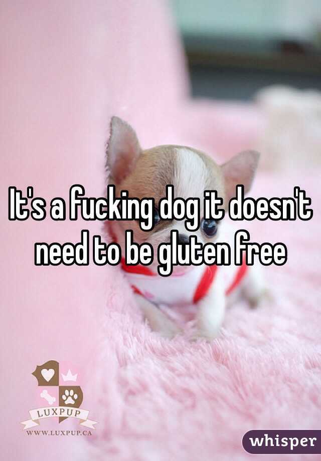 It's a fucking dog it doesn't need to be gluten free