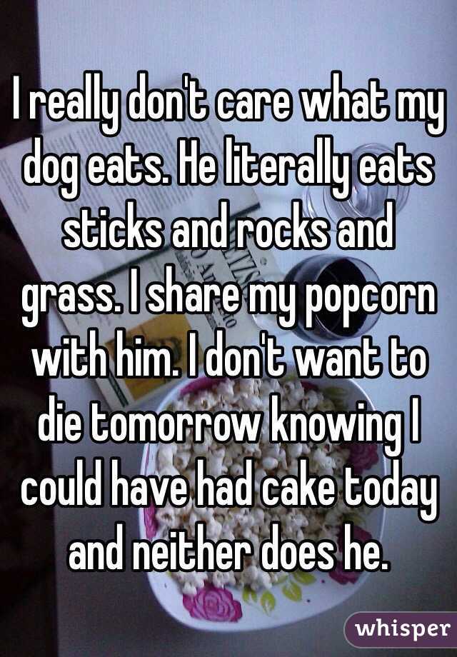 I really don't care what my dog eats. He literally eats sticks and rocks and grass. I share my popcorn with him. I don't want to die tomorrow knowing I could have had cake today and neither does he.  