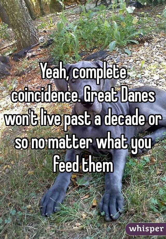 Yeah, complete coincidence. Great Danes won't live past a decade or so no matter what you feed them 