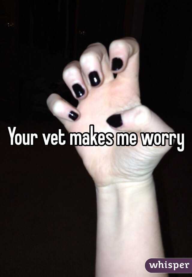 Your vet makes me worry