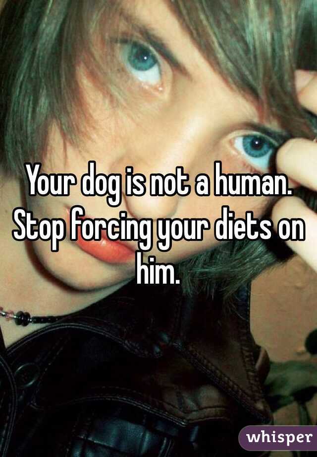 Your dog is not a human. Stop forcing your diets on him. 
