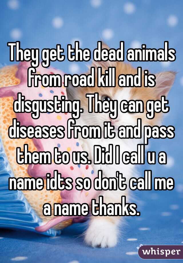 They get the dead animals from road kill and is disgusting. They can get diseases from it and pass them to us. Did I call u a name idts so don't call me a name thanks.