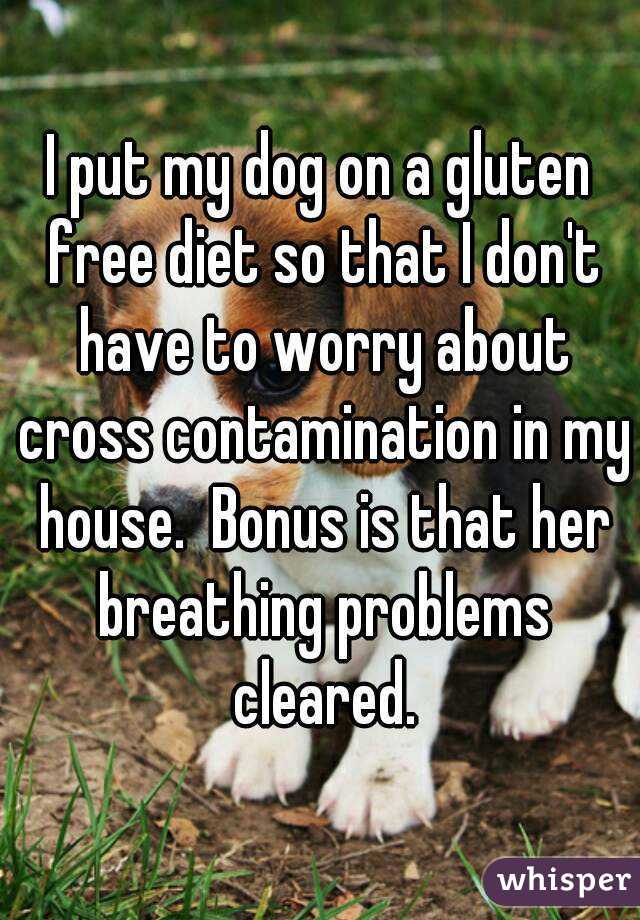 I put my dog on a gluten free diet so that I don't have to worry about cross contamination in my house.  Bonus is that her breathing problems cleared.