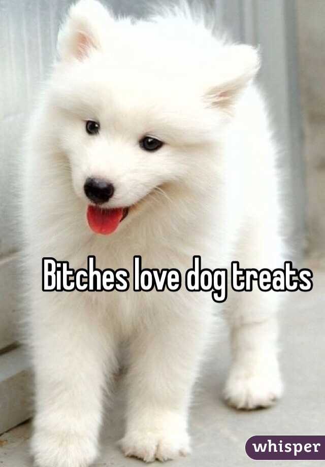 Bitches love dog treats