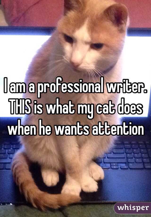 I am a professional writer.  THIS is what my cat does when he wants attention