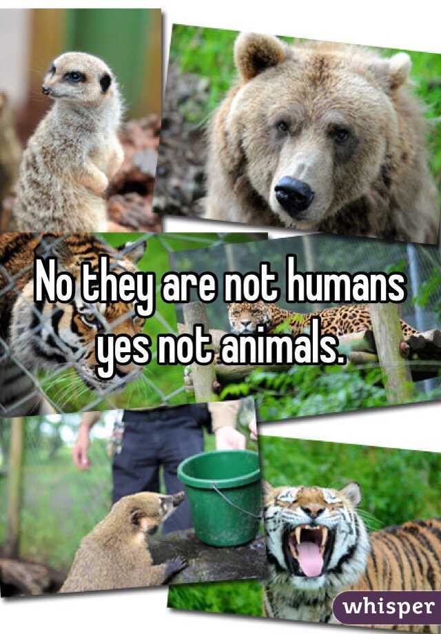 No they are not humans yes not animals.