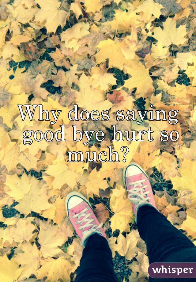 Why does saying good bye hurt so much? 

