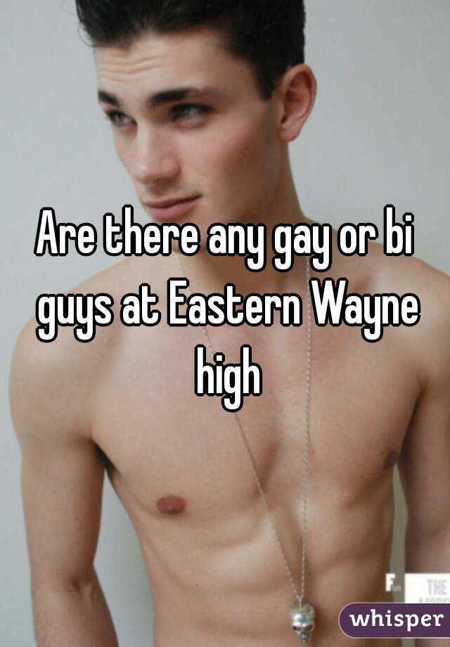Are there any gay or bi guys at Eastern Wayne high