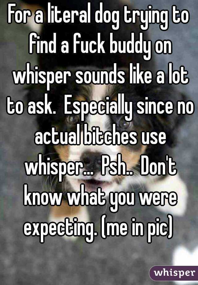For a literal dog trying to find a fuck buddy on whisper sounds like a lot to ask.  Especially since no actual bitches use whisper...  Psh..  Don't know what you were expecting. (me in pic) 