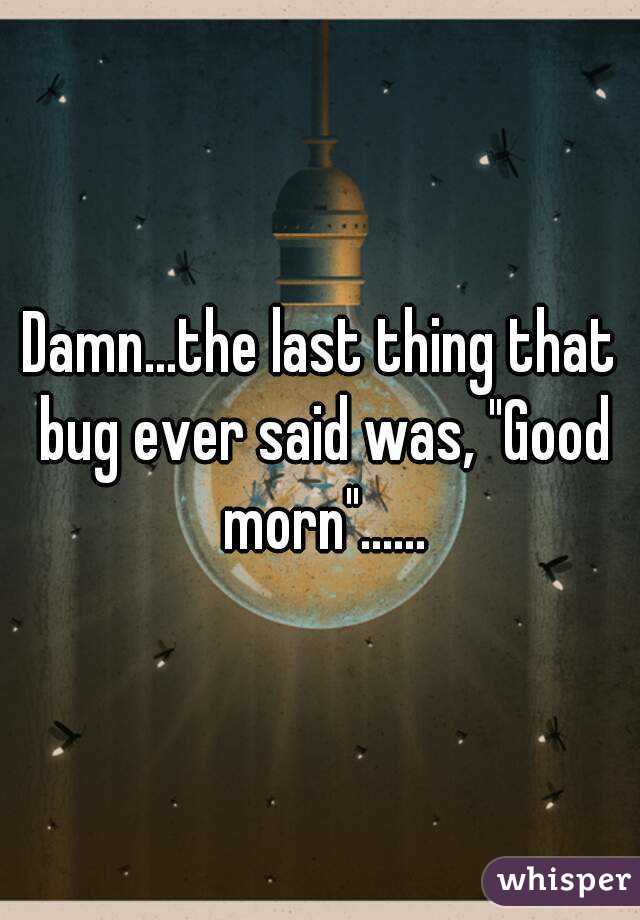Damn...the last thing that bug ever said was, "Good morn"......