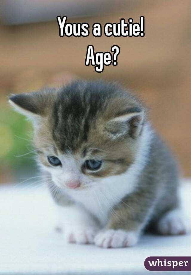 Yous a cutie! 
Age?