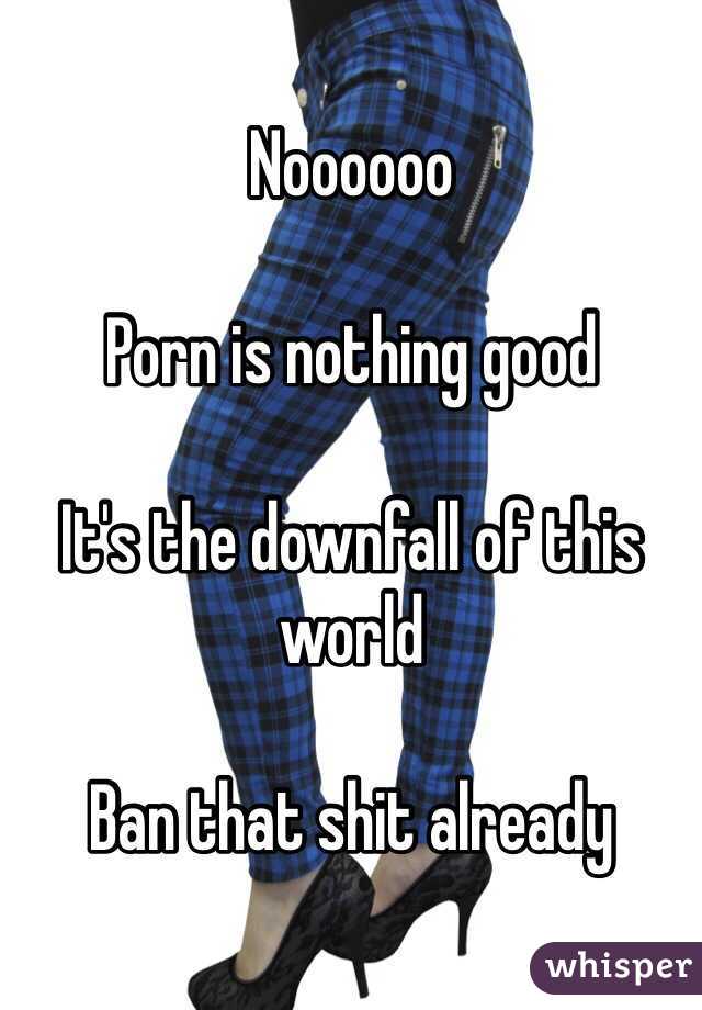 Noooooo

Porn is nothing good 

It's the downfall of this world 

Ban that shit already 