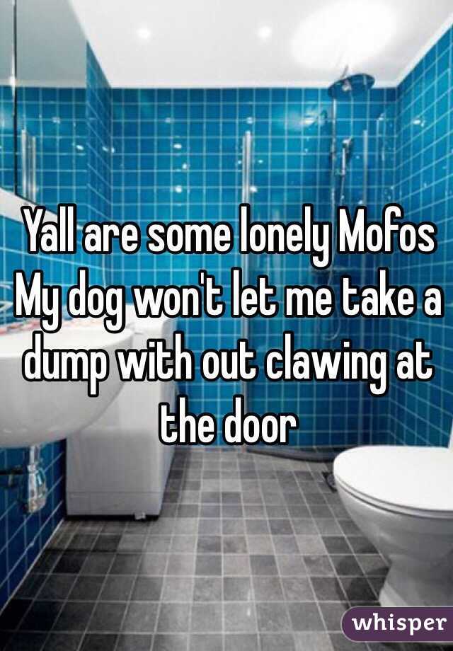 Yall are some lonely Mofos
My dog won't let me take a dump with out clawing at the door