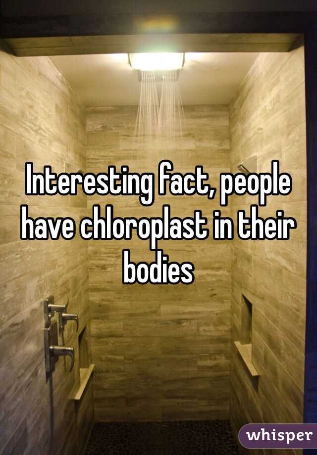 Interesting fact, people have chloroplast in their bodies
