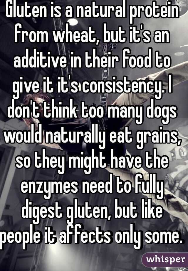 Gluten is a natural protein from wheat, but it's an additive in their food to give it it's consistency. I don't think too many dogs would naturally eat grains, so they might have the enzymes need to fully digest gluten, but like people it affects only some. 