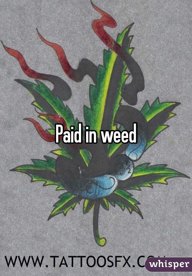 Paid in weed