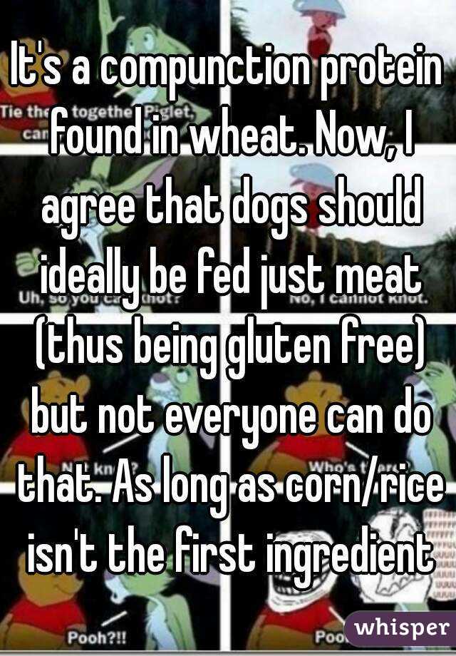 It's a compunction protein found in wheat. Now, I agree that dogs should ideally be fed just meat (thus being gluten free) but not everyone can do that. As long as corn/rice isn't the first ingredient