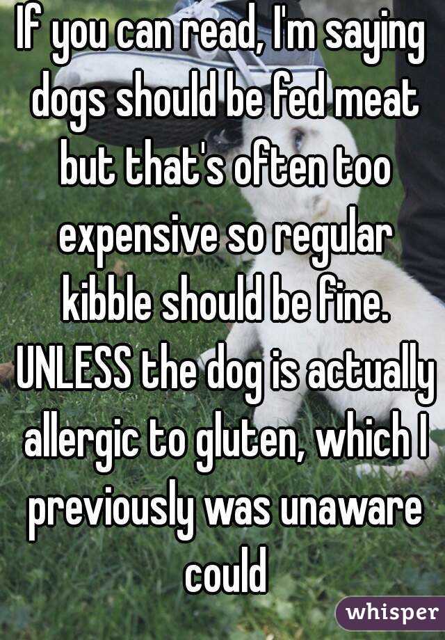 If you can read, I'm saying dogs should be fed meat but that's often too expensive so regular kibble should be fine. UNLESS the dog is actually allergic to gluten, which I previously was unaware could